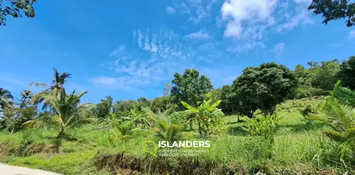 メナムの3.5ライマウンテンビューの土地