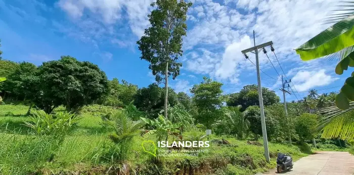 メナムの3.5ライマウンテンビューの土地