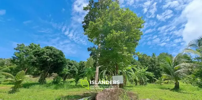 メナムの3.5ライマウンテンビューの土地