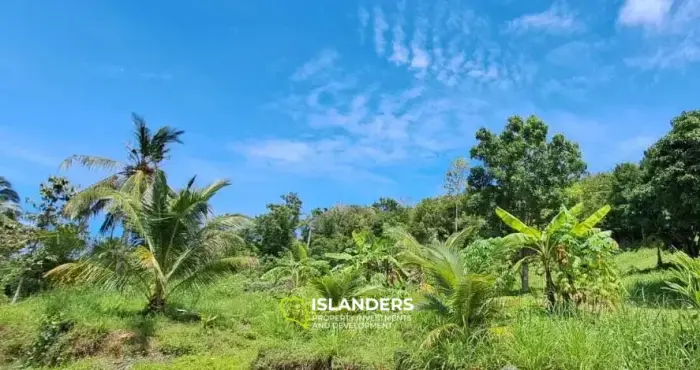 メナムの3.5ライマウンテンビューの土地