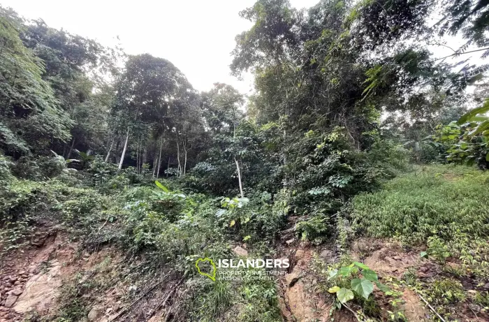 أرض مساحتها 1014 متر مربع مطلة على الغابة بالقرب من شلال ماي نام