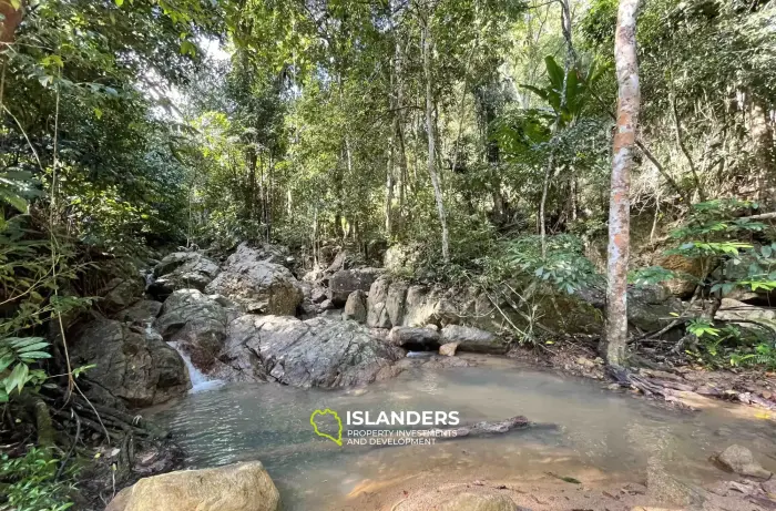 أرض مساحتها 1014 متر مربع مطلة على الغابة بالقرب من شلال ماي نام