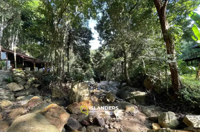 أرض مساحتها 1014 متر مربع مطلة على الغابة بالقرب من شلال ماي نام