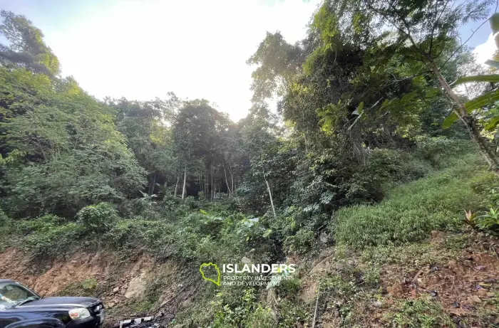 أرض مساحتها 1014 متر مربع مطلة على الغابة بالقرب من شلال ماي نام