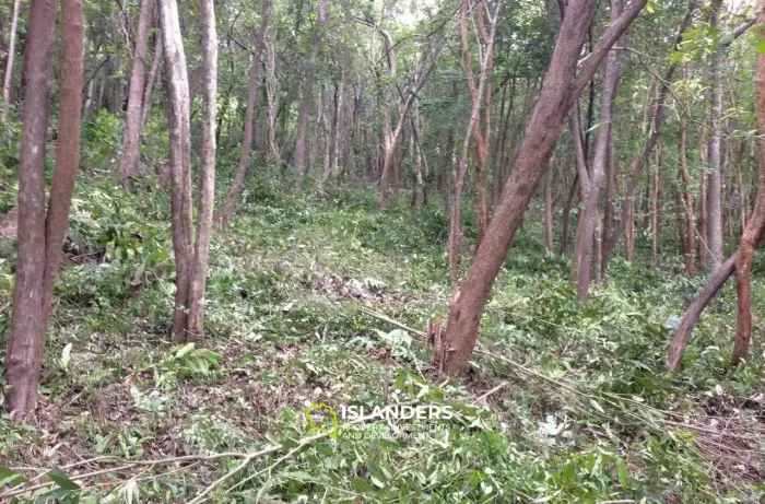 Chaweng Hill Sea View Land