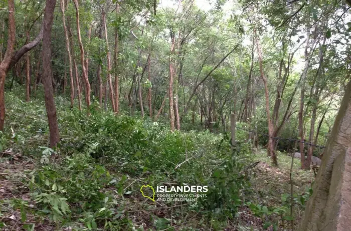 Chaweng Hill Sea View Land