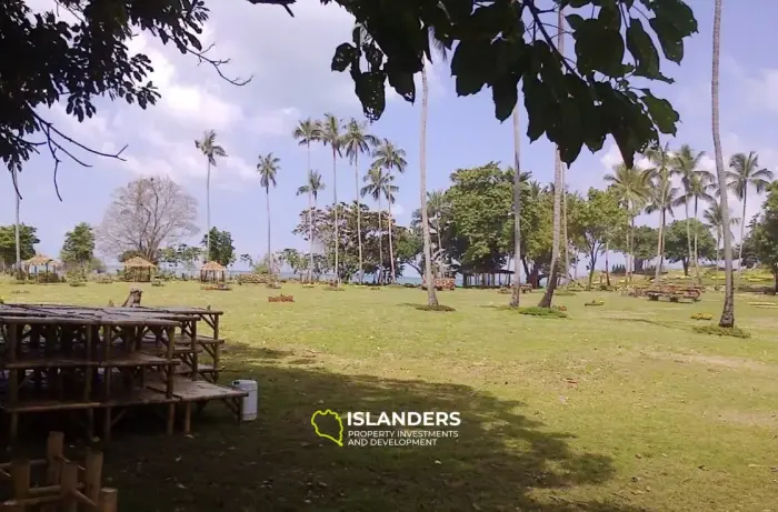 Spectacular Dream Oasis Land บนเกาะส้ม