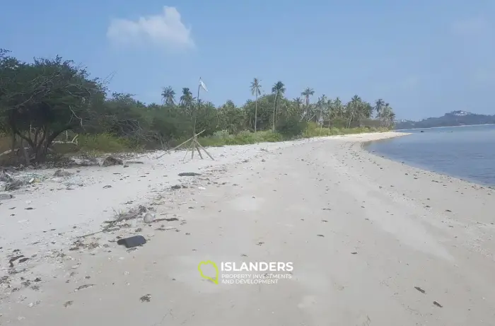 Spectacular Dream Oasis Land บนเกาะส้ม