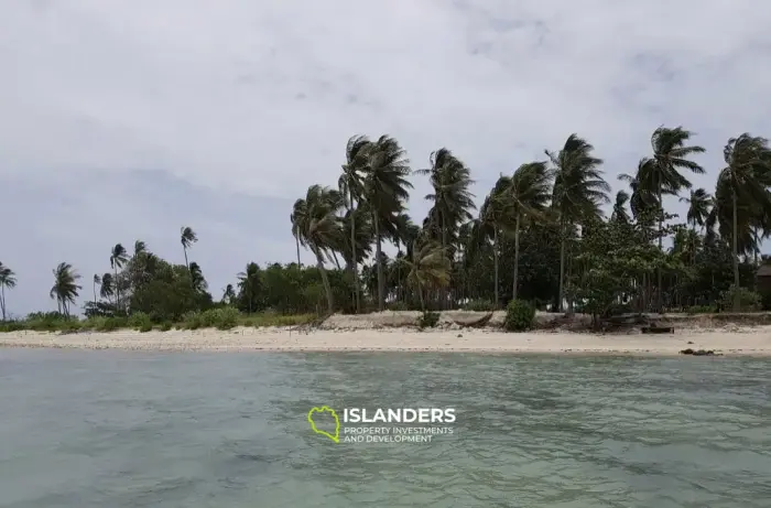 Spectacular Dream Oasis Land บนเกาะส้ม