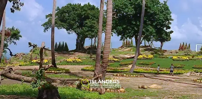 Spectacular Dream Oasis Land บนเกาะส้ม
