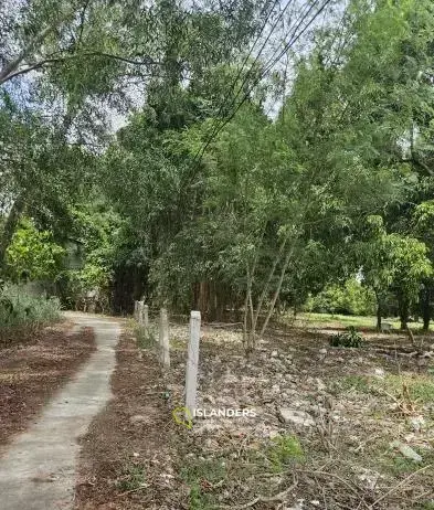 אדמה שטוחה בצ'ונגמון עם נוף להרים