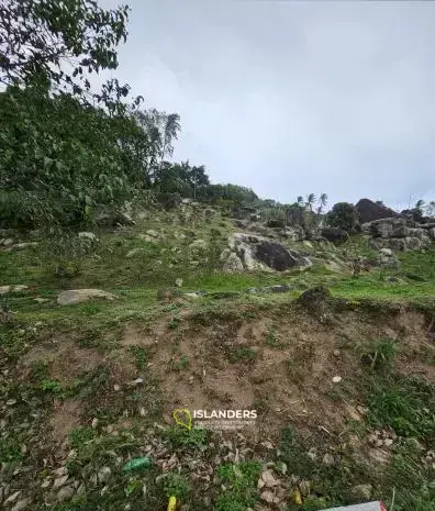 2,721 ตร.ว. ขายที่ดินเปล่าในเฉวงน้อย