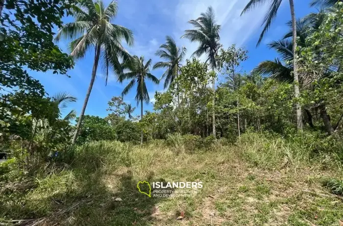 Fantastic Price for Gorgeous Land in Maenam