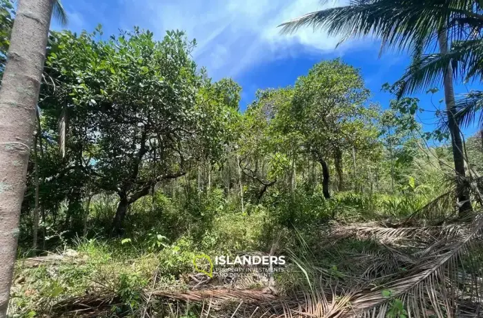 Fantastic Price for Gorgeous Land in Maenam