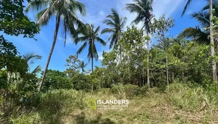 Fantastic Price for Gorgeous Land in Maenam