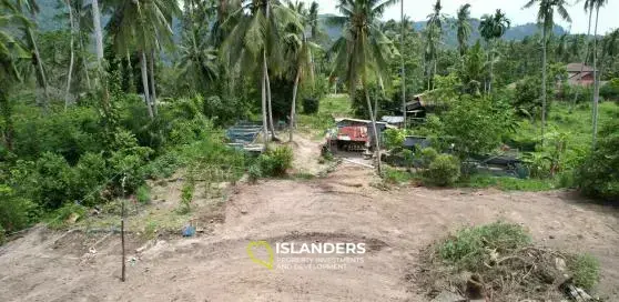 ขายที่ดินเปล่าในละไม