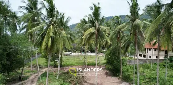 ขายที่ดินเปล่าในละไม