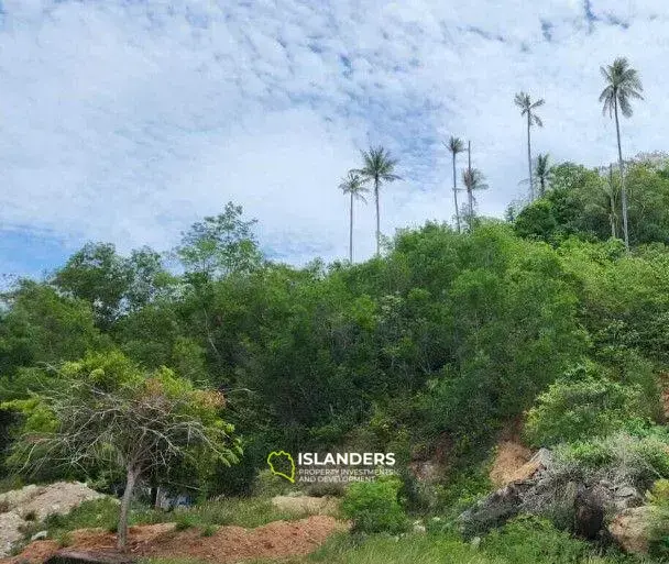 ขายที่ดิน 1 ไร่วิวเนินเขา