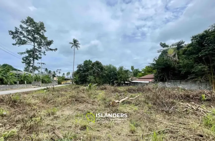 Terrain plat de 4 313 m² à Bophut à vendre