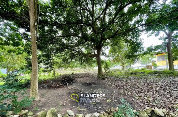Terrain plat de 4 313 m² à Bophut à vendre