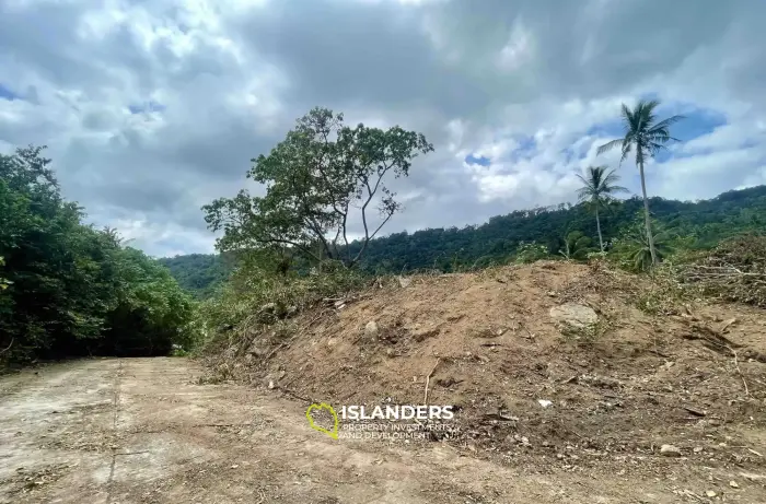 1,232 ตร.ม. ขายที่ดินซีวิวเฉวง