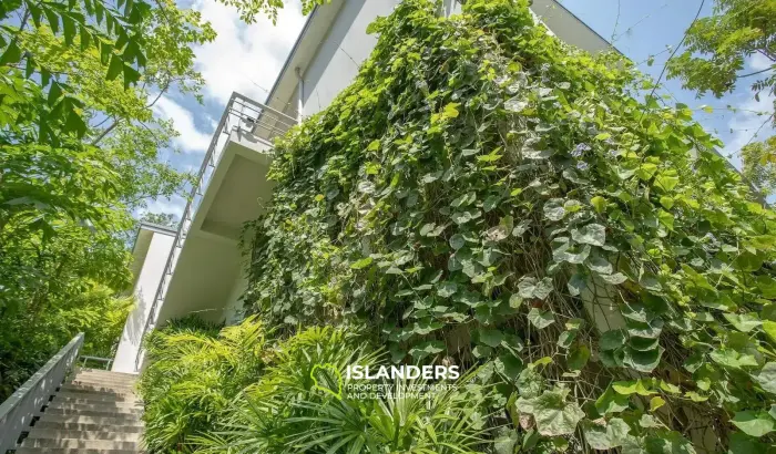 ขายวิลล่า 3 ห้องนอนที่ Luxana Villas