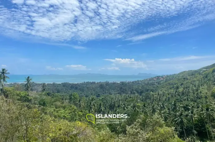 3 Rai Land Seaview for Sale