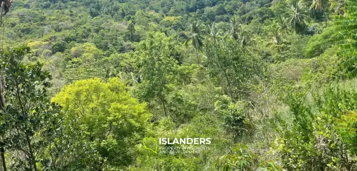 3 Rai Land Seaview for Sale