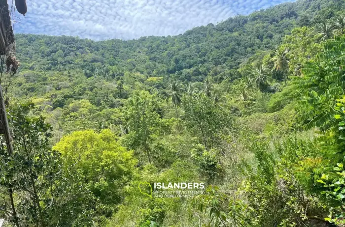 3 Rai Land Seaview for Sale