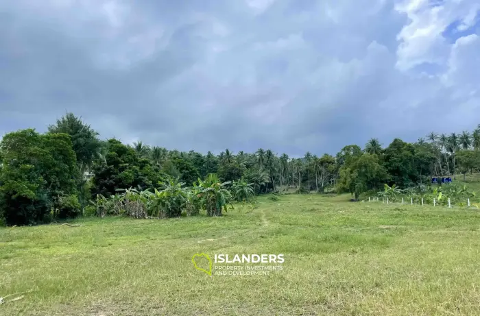 6.5 Rai avec terrain avec vue sur la montagne à Mae Nam à vendre