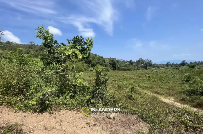 Wunderschönes 16-Rai-Land zum Verkauf in Bophut