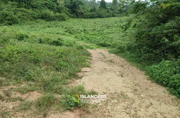 Wunderschönes 16-Rai-Land zum Verkauf in Bophut