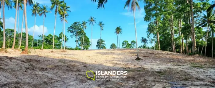 Atemberaubendes Grundstück zum Verkauf in Lamai (503 m2)
