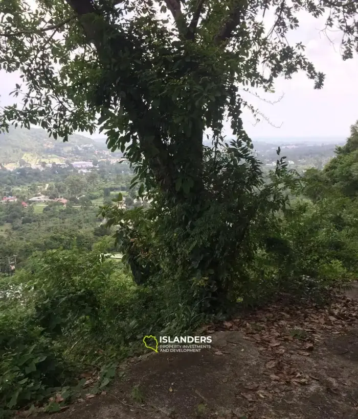 1 Rai, 3 Ngan Land mit Meerblick zum Verkauf in Bophut