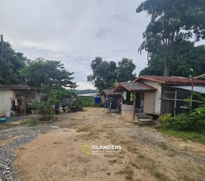 ขายที่ดิน 1 ไร่กลางบ่อผุด