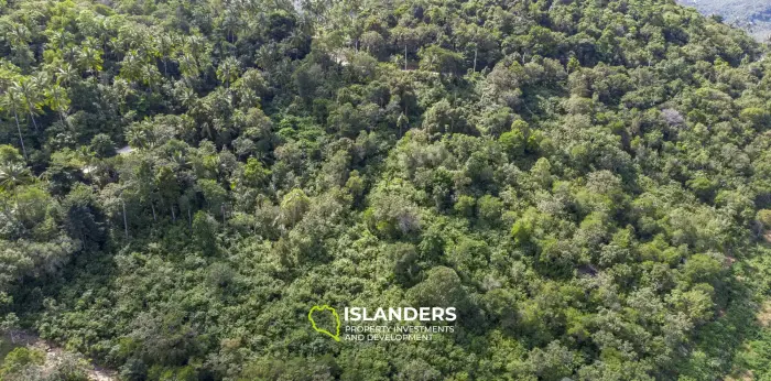 Grand terrain sur les collines avec une vue imprenable à vendre à Bo Phut