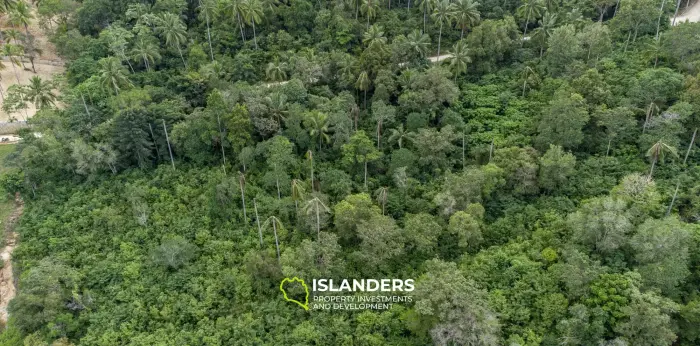 Grand terrain sur les collines avec une vue imprenable à vendre à Bo Phut