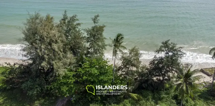 Grand terrain en bord de mer orienté à l'est à vendre sur la plage de Laem Set
