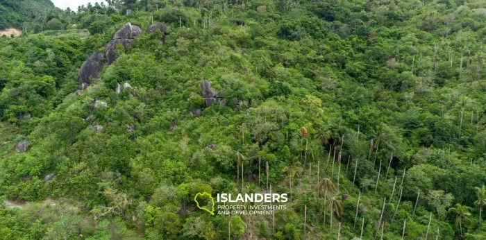 10,804 Sqm Land for Sale in Lamai