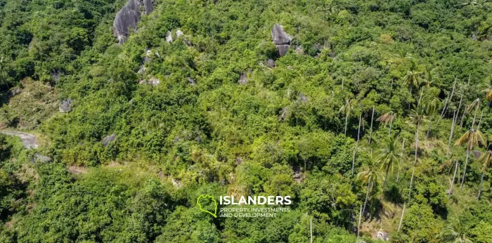 10,804 Sqm Land for Sale in Lamai