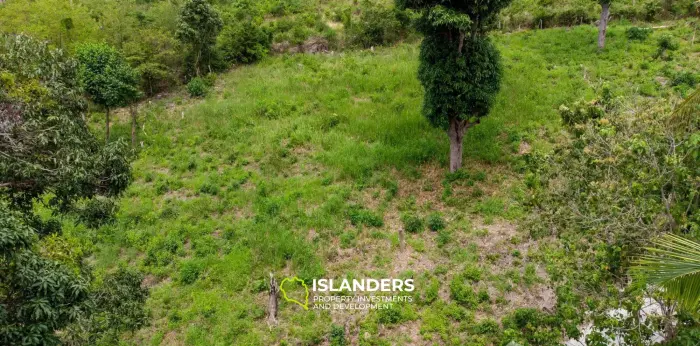 1600Sqm Land for Sale in Bophut