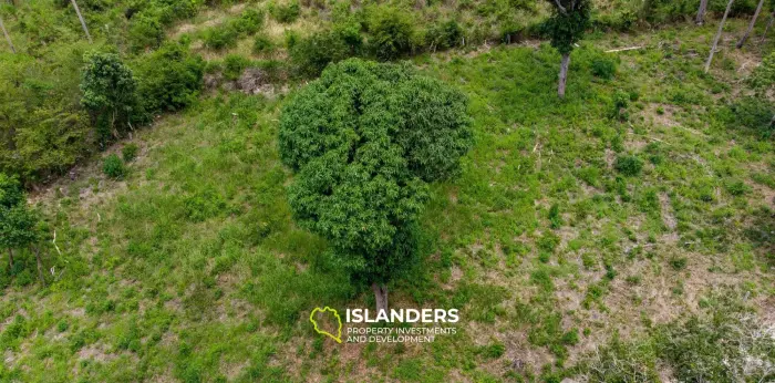 1600Sqm Land for Sale in Bophut