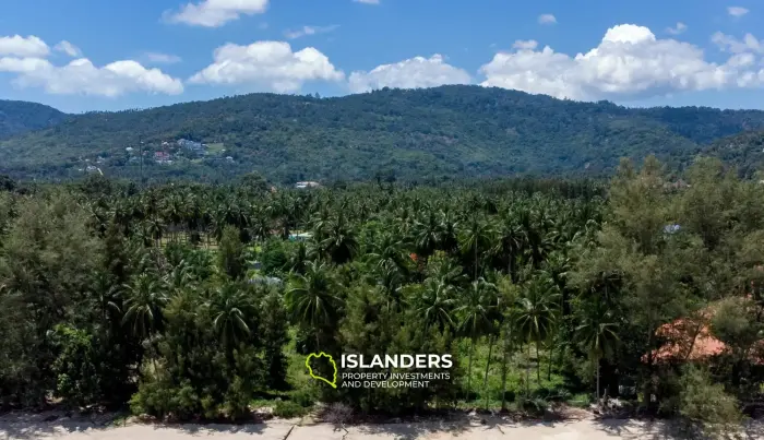Beachfront Land for Sale in Lipa Noi