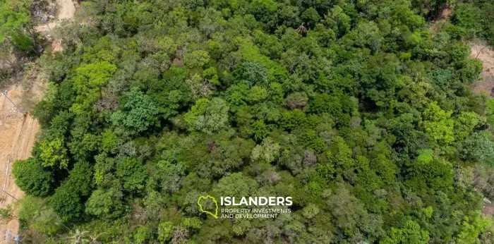 3 Rai Land for Sale in Bophut