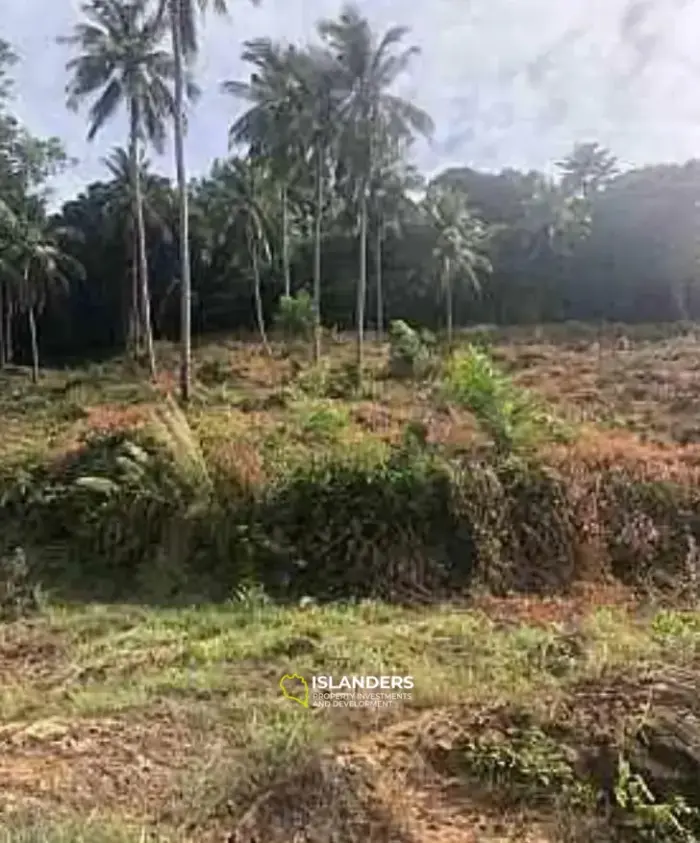 4.5 Rai for Sale in Bangpo 