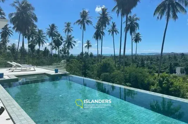 Villa for Sale near Mae Nam