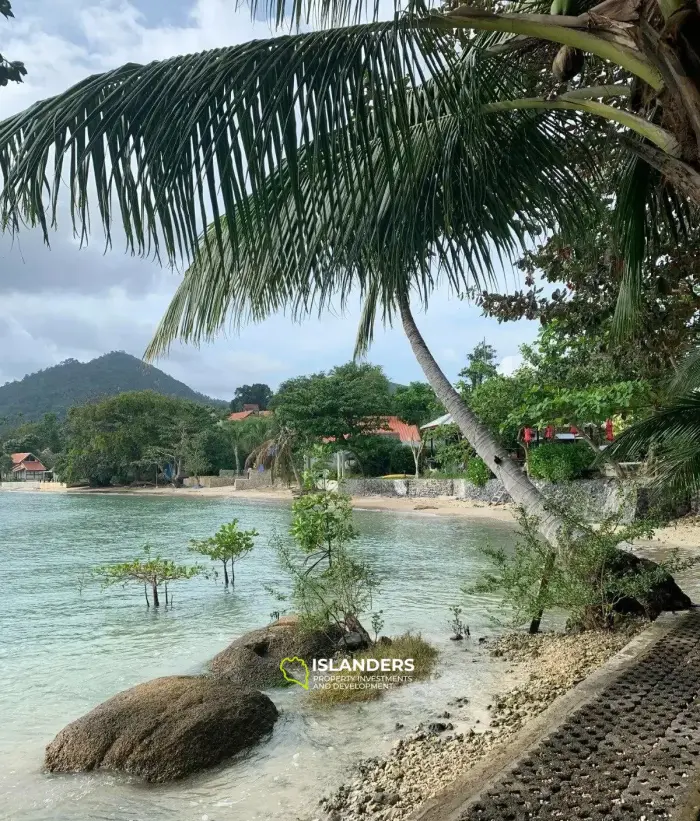 Grundstücke zum Verkauf in Lamai