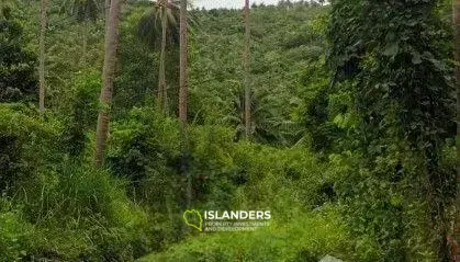 Grundstücke in Lamai zu verkaufen