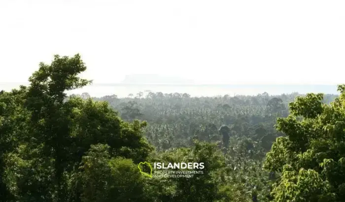 Freie Sicht in Lipa Noi Kao Paeng