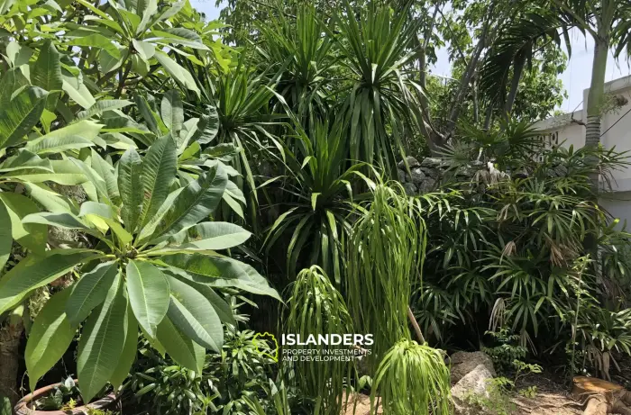 4 Bedroom Sea View Pool Villa plus Apartment in Maret